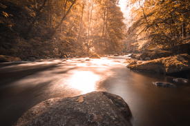 Bodetal im Herbst/11799632