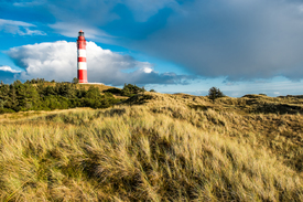 Leuchtturm Amrum/11851523