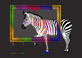 Das Regenbogen Zebra/11859851