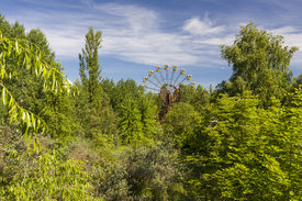 Vergnügungspark Pripyat/11928371