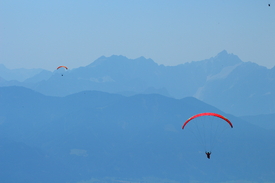 Paraglider/11940564