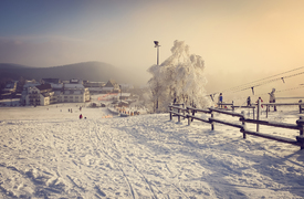 Skipiste/11952781
