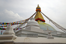 Bodnath Stupa/11987664