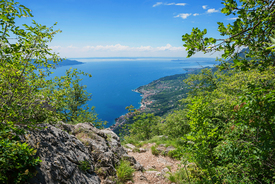 Wanderweg mit toller Aussicht auf den Gardasee/12014634