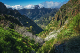 Madeira Pico dos Tres Torres Wanderung/12050473