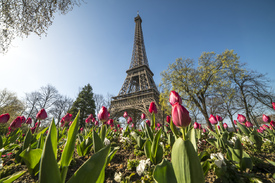 Frühling in Paris/12062052