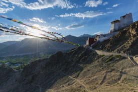 Namgyal Tsemo Gompa/12077763