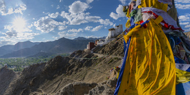 Namgyal Tsemo Gompa/12078149