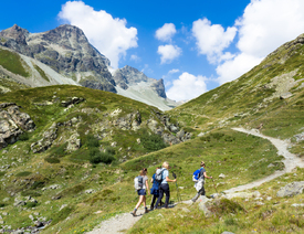 Wanderurlaub in den Schweizer Alpen/12090751