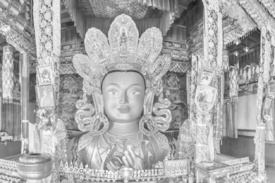 Zukunftsbuddha in Tikse/12139490