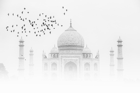 Taj Mahal im Nebel/12144611