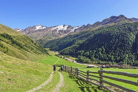 Zwei Wanderer in den Ötztaler Bergen/12171537