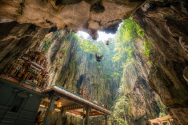 Batu Caves in Kuala Lumpur/12228361