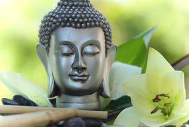 Buddha Kopf mit weißer Lilien Blüte/12248731