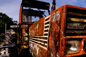 Vintage Tractor/12297993