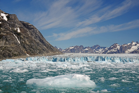 Am Knud Rasmussen Gletscher/12398397