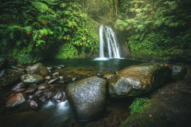 Guadeloupe Wasserfall im Dschungel/12503423