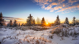 Der erste Schnee/12549538