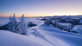 Morgendämmerung in den Allgäuer Alpen/12576457