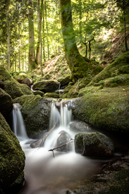 Wasserfall Bühlertal/12603824
