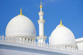 Kuppeln der Scheich Zayid Moschee/12616058