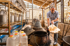 Rosenwasserproduktion im Iran/12619574