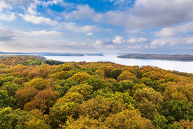 Herbstliche Wälder auf der Insel Rügen/12640898