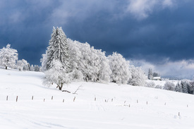 Landschaft im Winter im Thüringer Wald /12656217