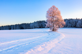 Winterzauber im Erzgebirge/12684027