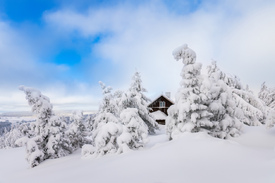 Winterhütte im Erzgebirge/12684037