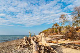 Strand an der Küste der Ostsee bei Graal Müritz/12702369