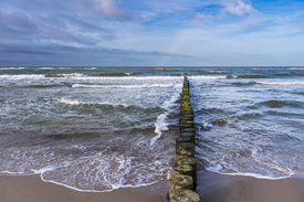 Buhnen an der Küste der Ostsee bei Graal Müritz/12717195