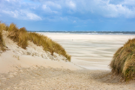 Strand auf Texel/12717428