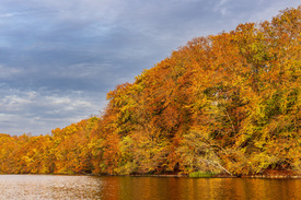 Blick über den See Schmaler Luzin im Herbst/12723481