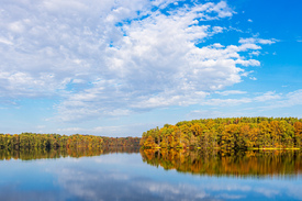 Blick über den See Schmaler Luzin im Herbst/12723490