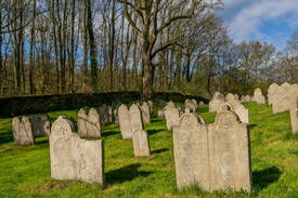ein Friedhof aus dem Mittelalter/12727421