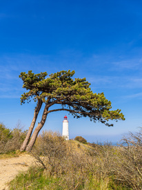 Der Leuchtturm Gellen auf der Insel Hiddensee/12730807