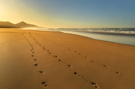 Spuren am Strand auf Fuerteventura/12735017