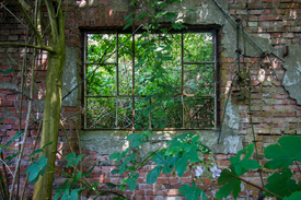 The old window/12737458