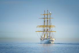 Gorch Fock/12744606