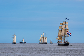 Segelschiffe auf der Ostsee während der Hanse Sail/12751354