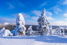 Landschaft mit Schnee im Winter in Ruka/12754887