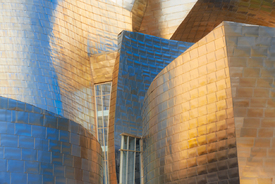 Guggenheim Bilbao/12756103