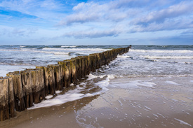 Buhne an der Küste der Ostsee/12756604