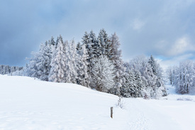 Landschaft im Winter im Thüringer Wald/12756606