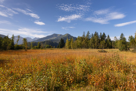 es wird Herbst/12757161