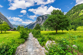 Der Große Ahornboden im Rißtal /12758674