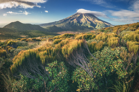 Neuseeland Mount Taranaki im Egmont Nationalpark/12769770