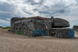 Der Schildkrötenbunker/12770456