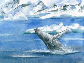 Blauwal-Sprung/12779492